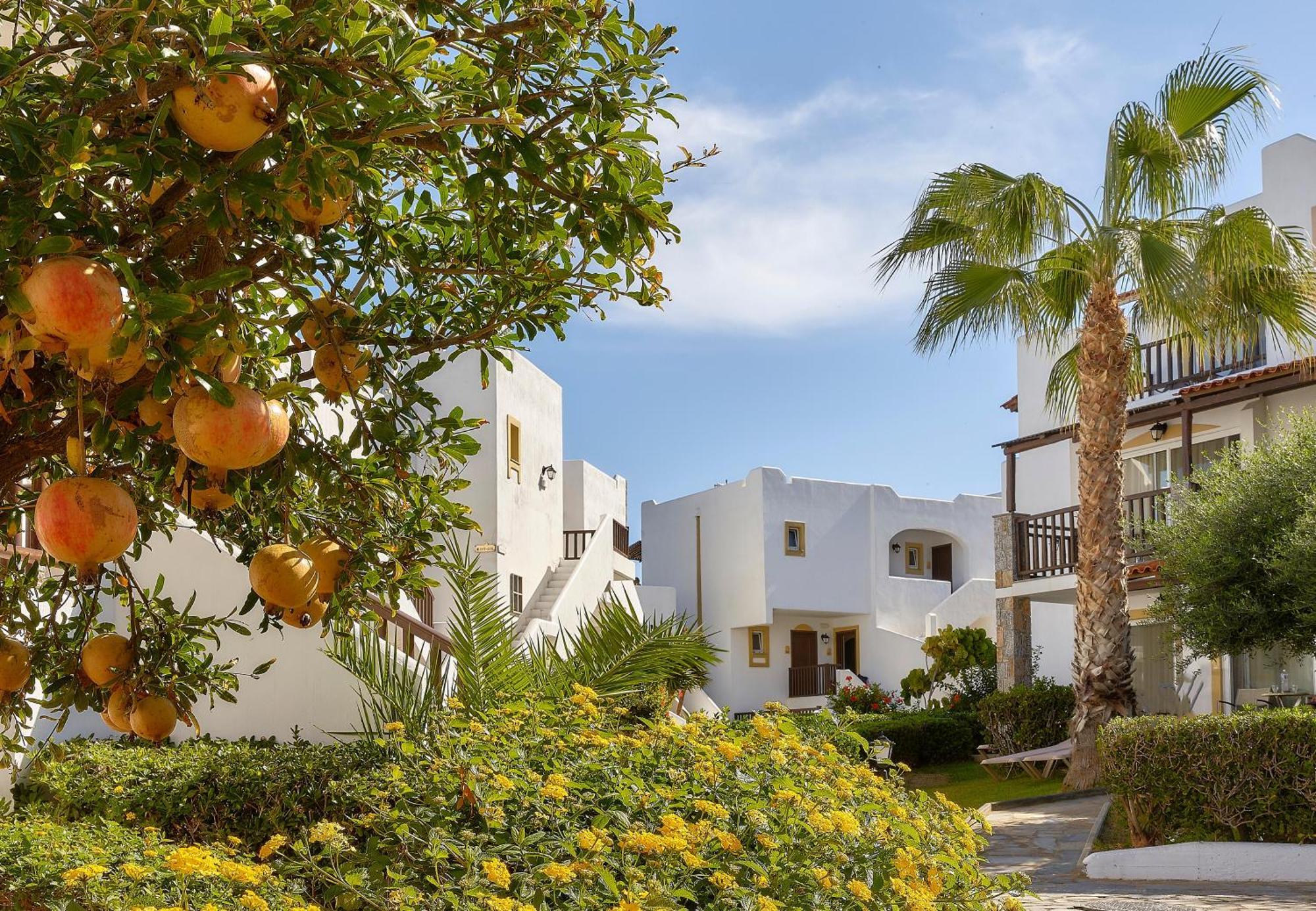 Alexander Beach Hotel & Village Resort Mália Zewnętrze zdjęcie